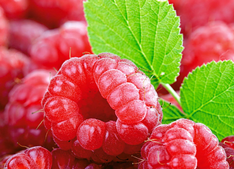 Raspberry Dark Balsamic Vinegar | Outrageous Olive Oils & Vinegars